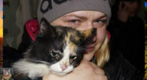 Трогательное воссоединение