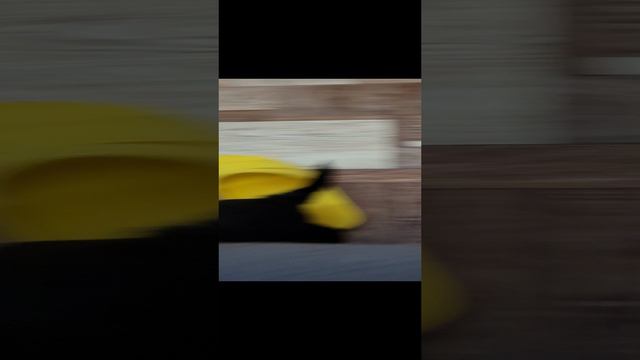йоркширский терьер щенки