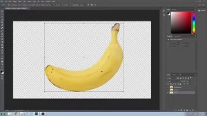 Photoshop Free Transform - Photoshop for Beginners 1