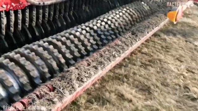 Пастбище. Эффективный подсев от Vredo. Брянская область. Март 2021