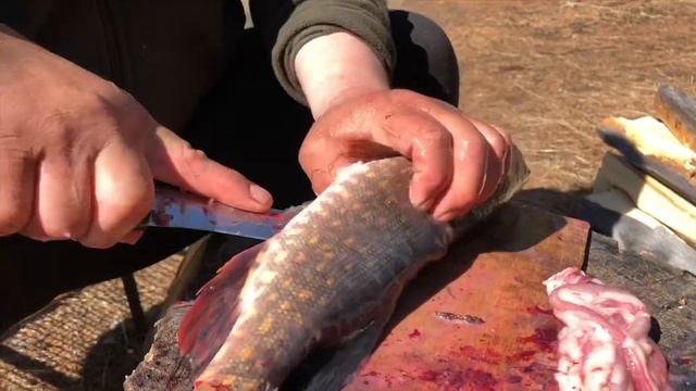 Лучший рецепт ухи «Ассорти» - карась, окунь, ленок и щука смотреть онлайн