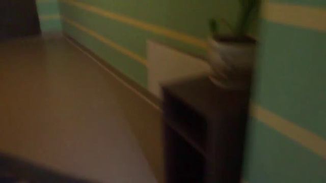 Грузовой лифт (г. Люберцы), V=1 м-с, г-п 630 кг (2) смотреть онлайн