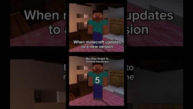 When Minecraft updates to a new version but… ? | #minecraft #shorts #memes #theloftmc