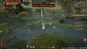 Чистейший черный камень - Вся атака +250 - Pure Blackstone +250 AP - Black Desert