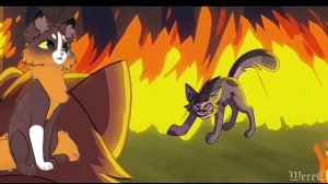 воинский закон / что это такое ?/ правила / коты воители / белолапка кв