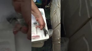 Планетарный миксер Gemlux  GL-SMPH10GRчаша на 10 л.