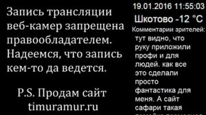 Козел Тимур и тигр Амур 19 января 2016 Обсуждение трансляции веб-камер