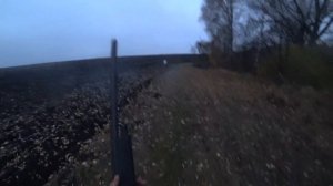 Gemini LM (0.38) и Ata Arms NEO12!!! Честный и независимый отстрел.