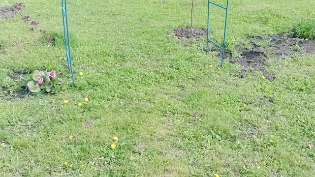 6 мая дачные дела смотреть онлайн