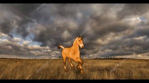 Александр Блок - Степная кобылица (1-е стихотворение из цикла "На поле Куликовом")