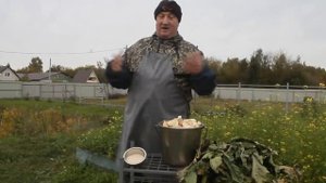 ХРЕНОВИНА ПОВЫШАЮЩАЯ  ЯЙЦЕНОСКОСТЬ У КУР ))).
