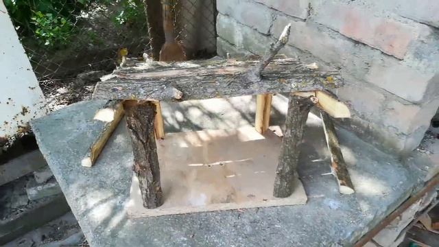 Сделал крутую кормушку из палок . Кормушка для птиц своими руками