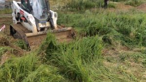 Удаление растительного слоя минипогрузчиком Bobcat T770