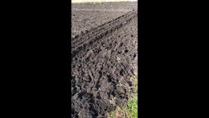 Пахота однокорпусным плугом.
