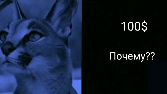 Сколько стоит Шлëпа смотреть онлайн