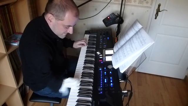 Roland BK-9 - ABBA does your mother know смотреть онлайн