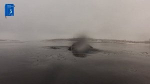 Подводная охота на Волге январь 2021. Сказочный прозрак.