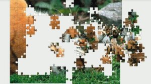 Суматранский тигр. Пазл.