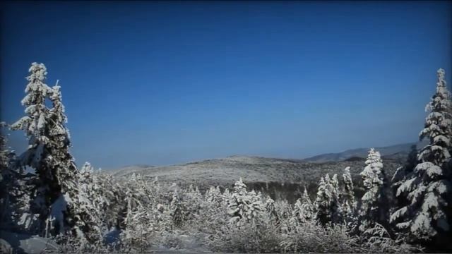 У тебя на ресницах - Молдован Пантилейчук (ГеннадийЛист)