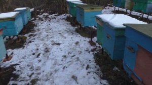 УЛЬИ ЛЕЖАКИ, ДАДАН, ППУ.  В каких работать легче?