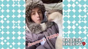 Гусь беседует с хозяйкой. Видели видео? Фрагмент выпуска от 28.03.2021