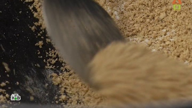 Dachni otvet 24.02.2019 дачный ответ на remont-online.net смотреть онлайн