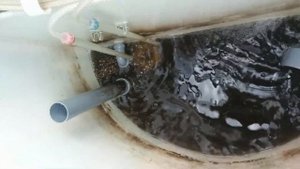 Евробион 5 сам. 5 лет успешной работы.