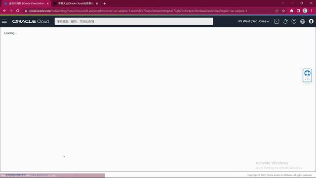 甲骨文云变身 IPv4+IPv6 双栈多IP站群服务器 смотреть онлайн