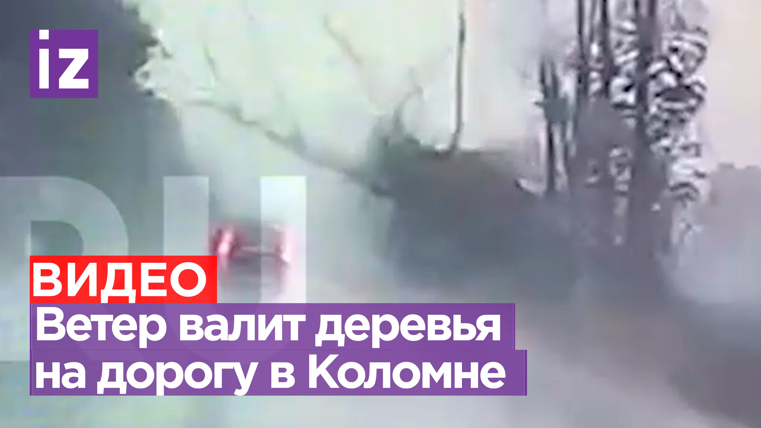 Погода уже не шепчет: в Коломне из-за сильных ливней падают деревья и фонарные столбы