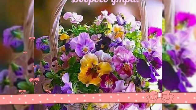 Хорошего Вам Понедельника/Удачного дня/Чудесного настроения