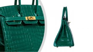 Hermes Birkin 25 Bag Emerald Crocodile Gold Hardware • MIGHTYCHIC •