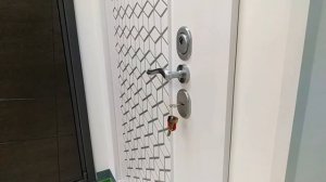 Дверь Гардиан ДС3У