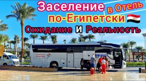 ЗАСЕЛЕНИЕ в отель Sharm Dreams Resort 5*. ВЗЯТКИ не даём! Шарм-эль-Шейх, Наама Бей. ЕГИПЕТ сегодня