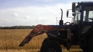 Простор 100. Уборка пшеницы