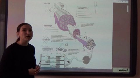 Бұлшықет ұлпасы жайлы