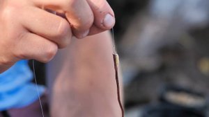 КАРАСЬ! На что ЛОВИТЬ КАРАСЯ? ТОП НАСАДОК #РыболовныеФишки