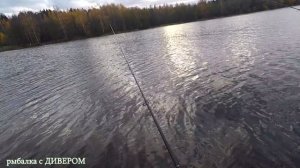 Осенняя рыбалка в Кимрах. отчёт по рыбалке, на что клевало, что поймали и как ловили. фильмы ДИВЕРА