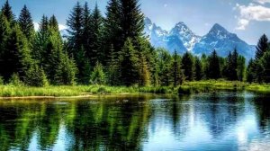 На какой цвет клюет окунь