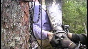 ИЛ-2 -АМ 38 -Восставший из небытия