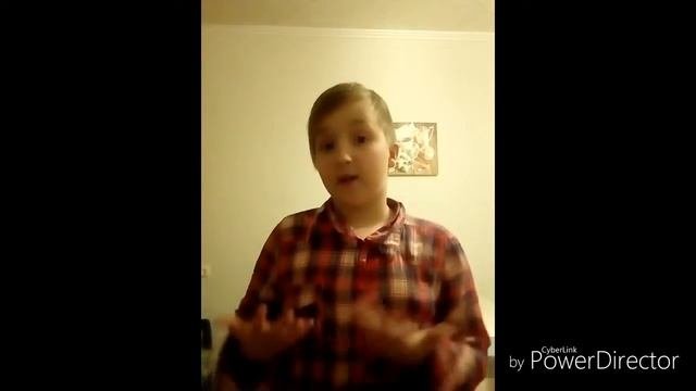 Каким кормом лучше кормить собак?