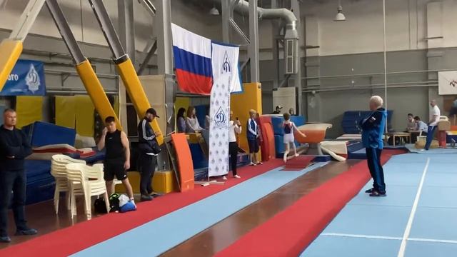 Опорный прыжок первый юношеский￼ разряд￼ (спортивная гимнастика)￼