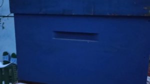 Безфальцевые деревянные улья