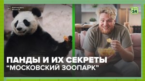 Все секреты панд | Московский зоопарк | ЗОО 24