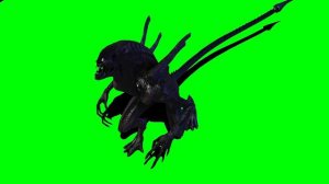 Alien Xenomorph animated pack 2 Green screen 3D