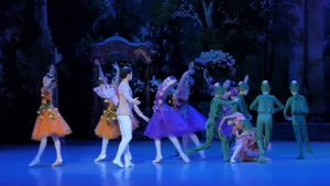 “Роман бутона розы и мотылька”