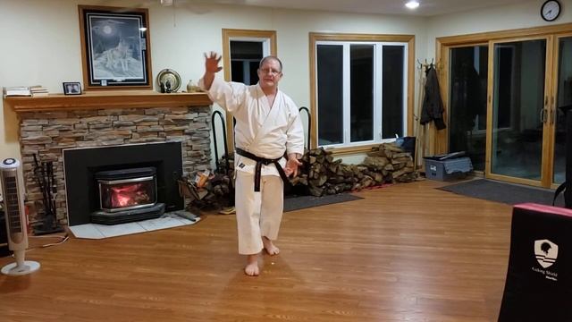 Zoom Training - U of M Shotokan Karate Club - Dec 30 2020 смотреть онлайн