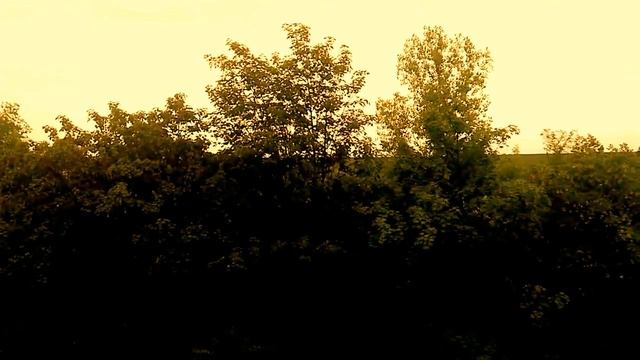 С Добрым Вечером милые друзья смотреть онлайн