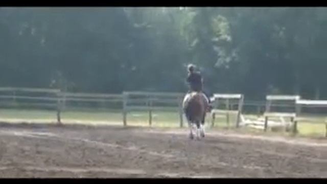 Floristan смотреть онлайн