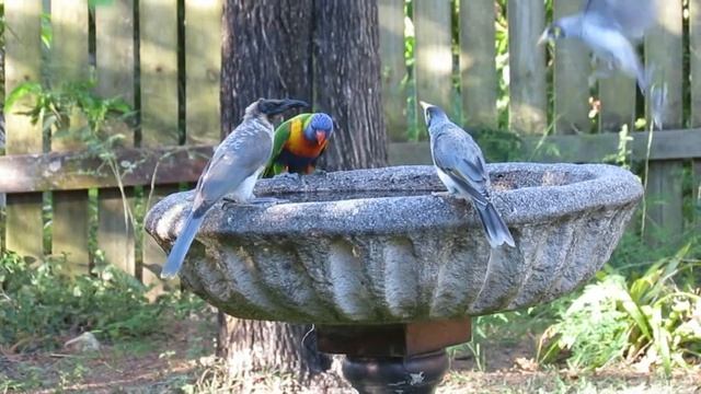 sharing a drink canon powershot sx40 video смотреть онлайн