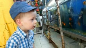 VLOG: Климу лучше / Почему больше не будет видео с Ритой / Интервью на горшке